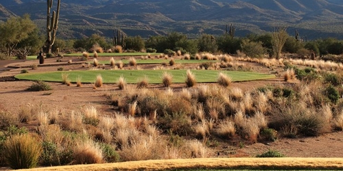 Tegavah Golf Club Golf In Rio Verde Arizona