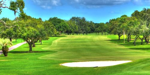 The Dunedin Golf Club