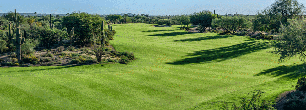 Desert Forest Golf Club Membership