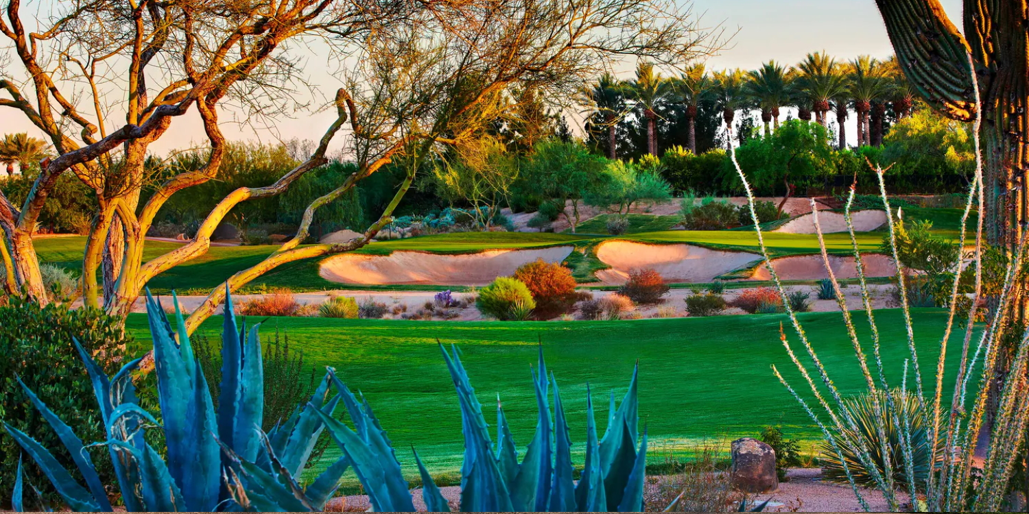 JW Marriott Phoenix Desert Ridge Resort Spa Wildfire Golf Packages 