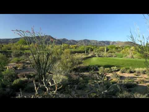 Desert Forest Golf Club